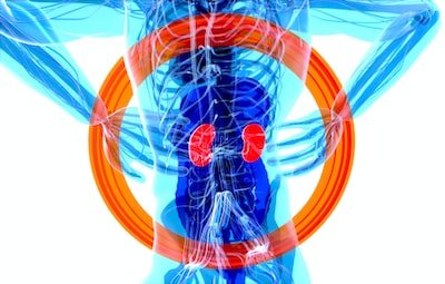 La quantité de créatinine dans le corps humain : Quelles sont les sources et les répercussions d'une hausse ?