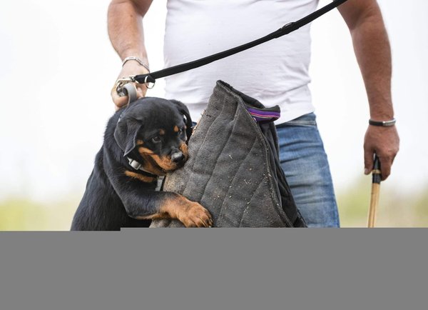 Les compléments alimentaires sous surveillance en France