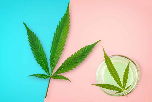 Naviguer dans la multitude de produits CBD en ligne : un guide pour les débutants